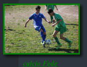 calcio Fede